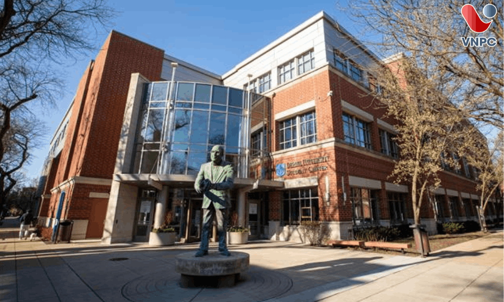 Trường DePaul University: Điều Kiện, Học Phí, Học Bổng Và Cơ Hội Việc Làm